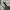Jeep Vintage Y2K Hoody Pria white photo 4