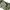 Japanese brand Luxury Avant Garde Parka Pria green photo 7
