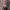 Japanese brand Luxury Avant Garde Parka Pria green photo 6