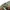 Japanese brand Luxury Avant Garde Parka Pria green photo 4