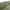 Japanese brand Luxury Avant Garde Parka Pria green photo 3