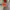 Minimalist Casual Windbreaker Kids orange gray photo 2