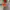 Minimalist Casual Windbreaker Kids Orange Gray