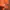 Minimalist Casual Windbreaker Kids orange gray photo 4