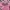 Vintage T-shirt Pria pink photo 2