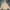 Vintage Y2K Hoody Pria cream tan photo 1