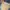 Vintage Y2K Hoody Pria cream tan photo 2
