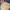 Vintage Y2K Hoody Pria Cream Tan