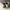 Converse Streetwear Casual Sneakers Pria White