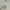 OshKosh Indie Casual Short Kids white photo 3
