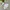 Minimalist Casual Windbreaker Kids white photo 1
