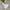 Minimalist Casual Windbreaker Kids white photo 7