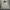 Gozeal Vintage Y2K Hoody Pria gray photo 1