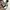 Converse Y2K Casual Sneakers Pria white black photo 4