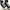Converse Y2K Casual Sneakers Pria White Black