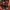 Tultex Gorpcore Sportswear Sweatshirt Pria orange photo 4