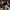 Minimalist Pria gray photo 3