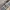 Burberry Luxury Bomber jacket Pria tan cream photo 7