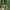 Luxury Futurist Summer dress Wanita multicolor red photo 2