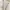 Y2K Casual Shirt Wanita tan cream photo 3