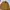 Japanese brand Sportswear Casual Fleece Pria gold photo 4
