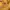 Japanese brand Sportswear Casual Fleece Pria gold photo 6