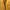 Japanese brand Sportswear Casual Fleece Pria gold photo 5