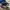 Adidas Casual Sneakers Pria gray blue photo 1
