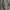 Pull & Bear Streetwear Windbreaker Pria green photo 4