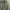 Pull & Bear Streetwear Windbreaker Pria green photo 2