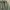 Pull & Bear Streetwear Windbreaker Pria Green