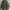Pull & Bear Streetwear Windbreaker Pria green photo 3