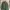 Pull & Bear Streetwear Windbreaker Pria green photo 1
