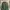 Pull & Bear Streetwear Windbreaker Pria Green