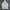 HUF Skater Sportswear Windbreaker Pria white photo 5