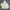 HUF Skater Sportswear Windbreaker Pria white photo 1