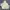 HUF Skater Sportswear Windbreaker Pria White