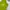 Nike Streetwear Casual Hoody Pria multicolor green photo 3