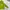 Nike Streetwear Casual Hoody Pria multicolor green photo 2