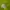 Nike Streetwear Casual Hoody Pria multicolor green photo 5