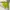 Nike Streetwear Casual Hoody Pria multicolor green photo 1