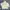 GU Streetwear Sportswear Windbreaker Pria white photo 1