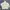 GU Streetwear Sportswear Windbreaker Pria White