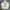 GU Streetwear Sportswear Windbreaker Pria white photo 4