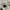 GU Streetwear Sportswear Windbreaker Pria white photo 5