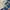 GU Streetwear Sportswear Windbreaker Pria white photo 3