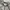 Kappa Sportswear Casual Windbreaker Pria gray photo 3