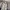 Kappa Sportswear Casual Windbreaker Pria gray photo 2