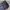 Adidas Streetwear Sportswear Sweatpants & Joggers Wanita navy pink photo 3