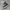 Converse Indie Casual Sneakers Wanita white black photo 1